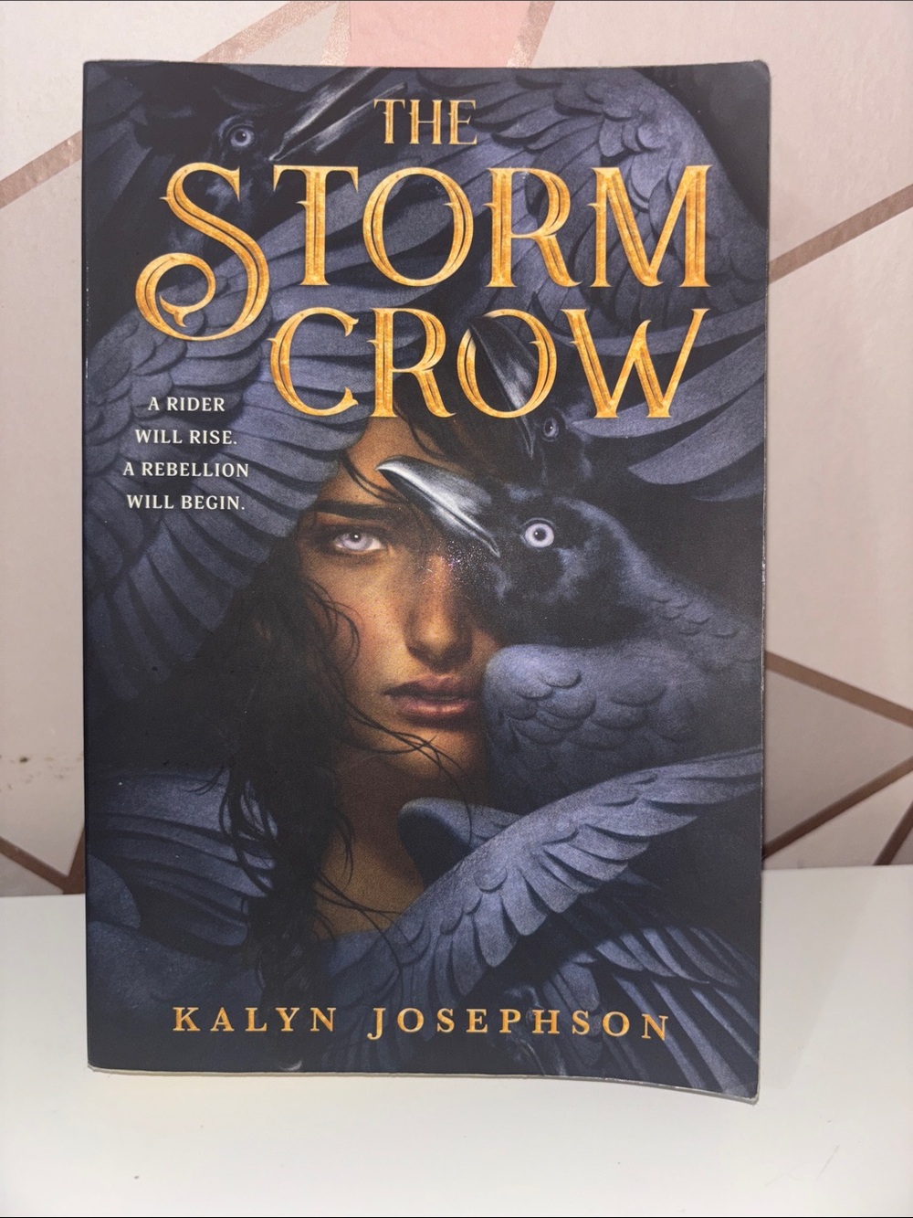 Barnes & Noble The Storm Crow — Black and Gold Cover